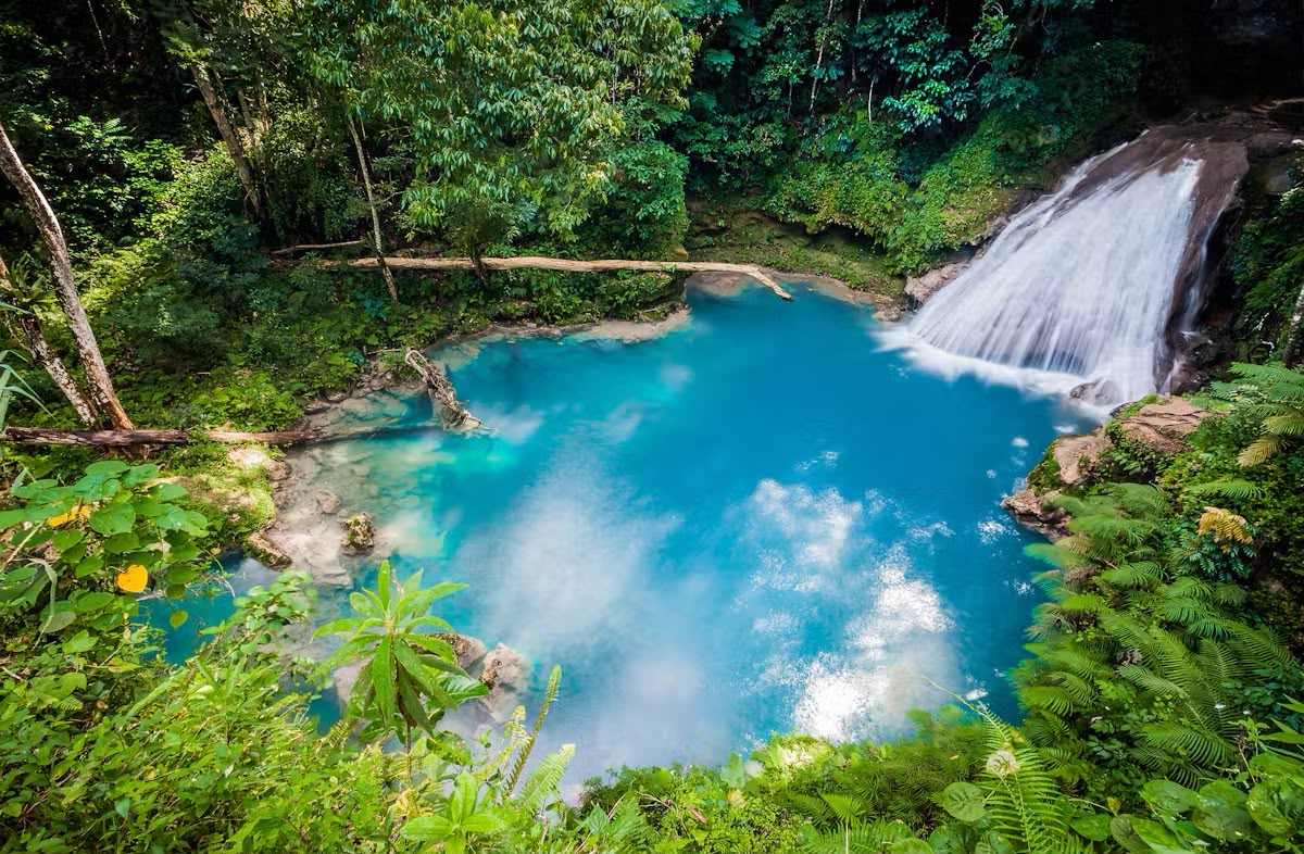 Turquoise natural pool fed by a jungle waterfall